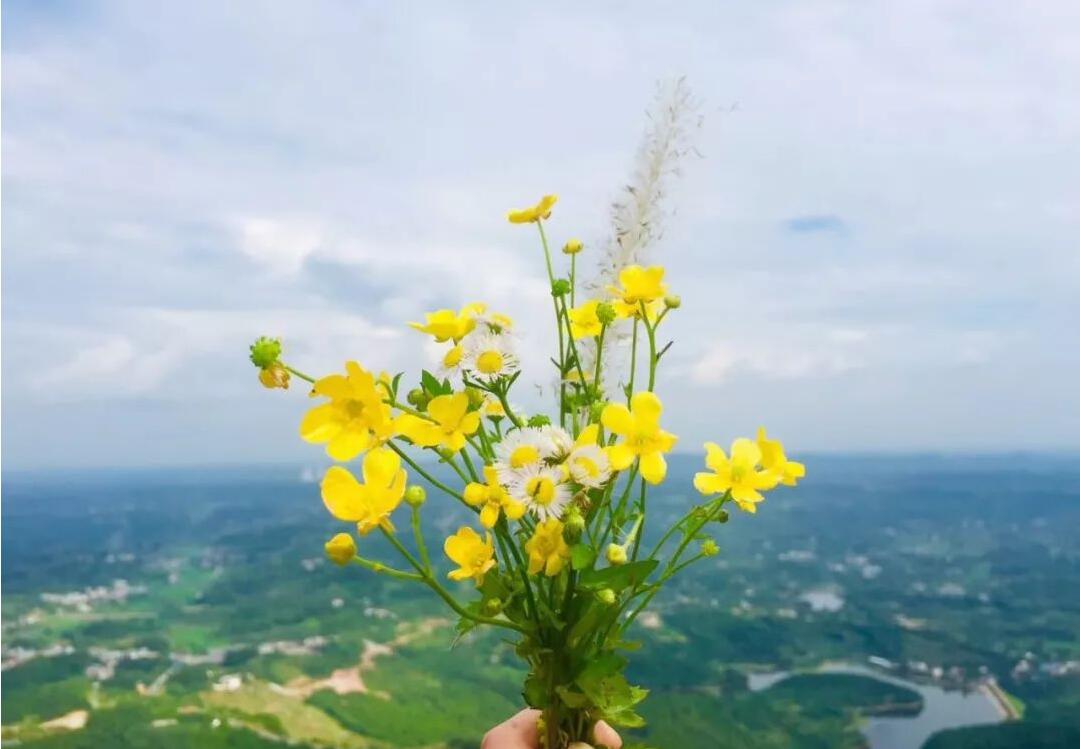 等春來，我們好好擁抱！致敬最美